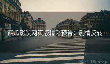 西瓜影院网页版精彩预告：剧情反转