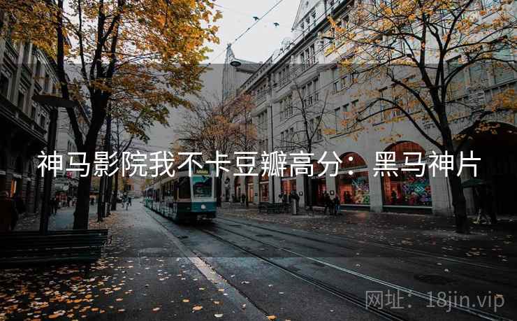 神马影院我不卡豆瓣高分：黑马神片