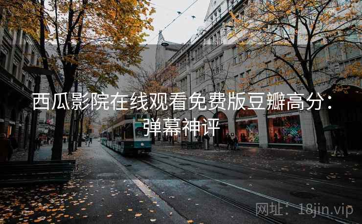 西瓜影院在线观看免费版豆瓣高分：弹幕神评
