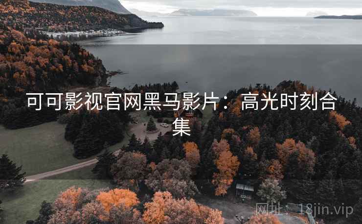 可可影视官网黑马影片：高光时刻合集